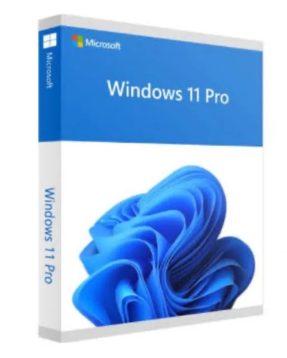 MICROSOFT WINDOWS 11 PRO — DISOFI